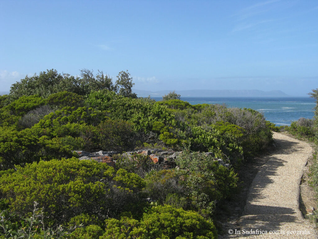 Sudafrica: Hermanus - Cliff Path Trail Consulenza viaggio Sudafrica
