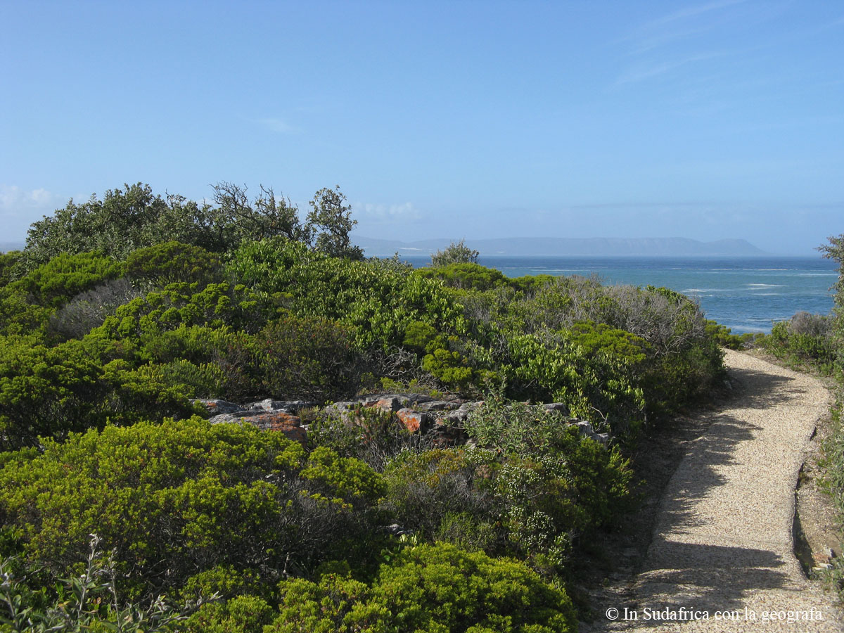Sudafrica: Hermanus - Cliff Path Trail Consulenza viaggio Sudafrica