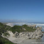 Sudafrica: Hermanus - Cliff Path Trail Consulenza viaggio Sudafrica