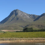 Sudafrica: Hemel-en-Aarde Valley Consulenza viaggio Sudafrica