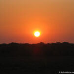 Sudafrica: Tembe Elephant Park Consulenza viaggio Sudafrica