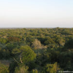 Sudafrica: Tembe Elephant Park Consulenza viaggio Sudafrica