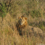 Sudafrica: Tembe Elephant Park Consulenza viaggio Sudafrica