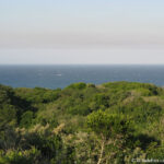 Sudafrica: Sodwana Bay Consulenza viaggio Sudafrica