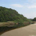 Sudafrica: Sodwana Bay Consulenza viaggio Sudafrica