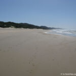 Sudafrica: St. Lucia Consulenza viaggio Sudafrica
