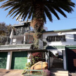 Sudafrica: Johannesburg - Agterplaas B&B Guest House Consulenza viaggio Sudafrica