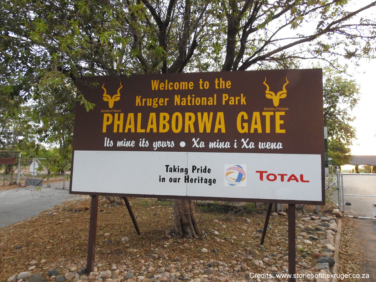 Sudafrica: Kruger NP Consulenza viaggio Sudafrica