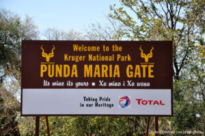 Sudafrica: Kruger NP Consulenza viaggio Sudafrica
