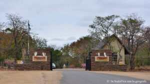 Sudafrica: Kruger NP Consulenza viaggio Sudafrica