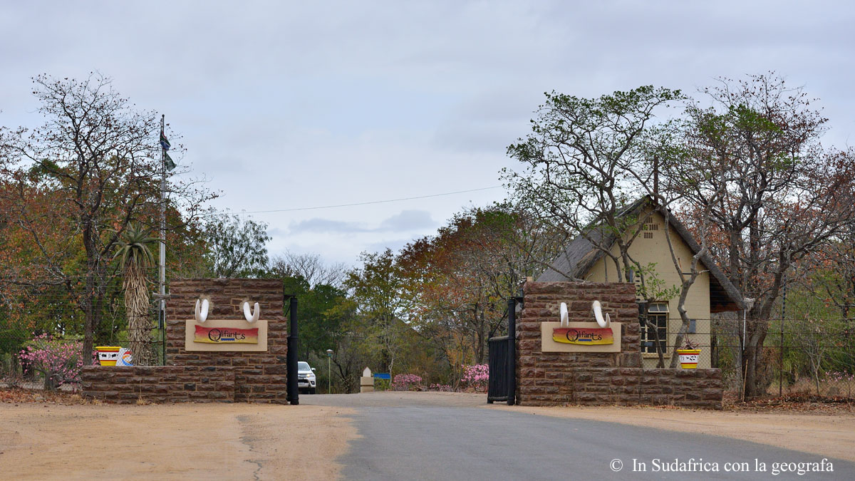 Sudafrica: Kruger NP Consulenza viaggio Sudafrica