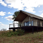 Sudafrica: Manyoni Private Game Reserve Consulenza viaggio Sudafrica
