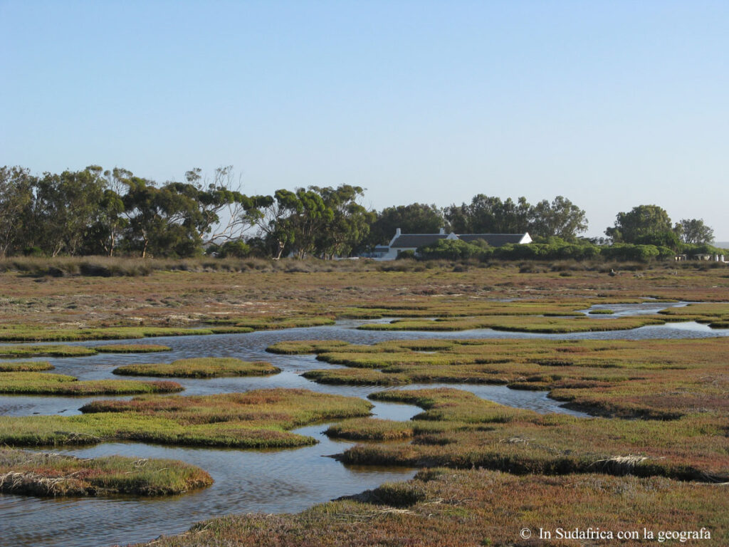 Sudafrica: West Coast NP Consulenza viaggio Sudafrica