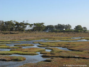 Sudafrica: West Coast NP Consulenza viaggio Sudafrica