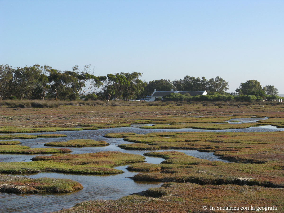 Sudafrica: West Coast NP Consulenza viaggio Sudafrica