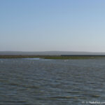 Sudafrica: West Coast NP Consulenza viaggio Sudafrica