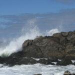 Sudafrica: West Coast NP Consulenza viaggio Sudafrica