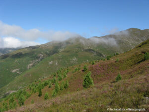 Sudafrica: Green Mountain Trail Consulenza viaggio Sudafrica