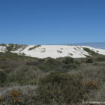 Sudafrica: West Coast NP Consulenza viaggio Sudafrica