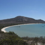 Sudafrica: West Coast NP Consulenza viaggio Sudafrica