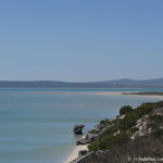 Sudafrica: West Coast NP Consulenza viaggio Sudafrica