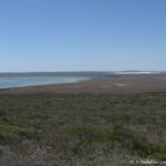 Sudafrica: West Coast NP Consulenza viaggio Sudafrica