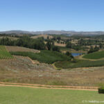 Sudafrica: Green Mountain Trail Consulenza viaggio Sudafrica