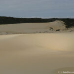Sudafrica: West Coast NP Consulenza viaggio Sudafrica
