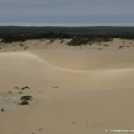 Sudafrica: West Coast NP Consulenza viaggio Sudafrica