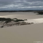 Sudafrica: West Coast NP Consulenza viaggio Sudafrica