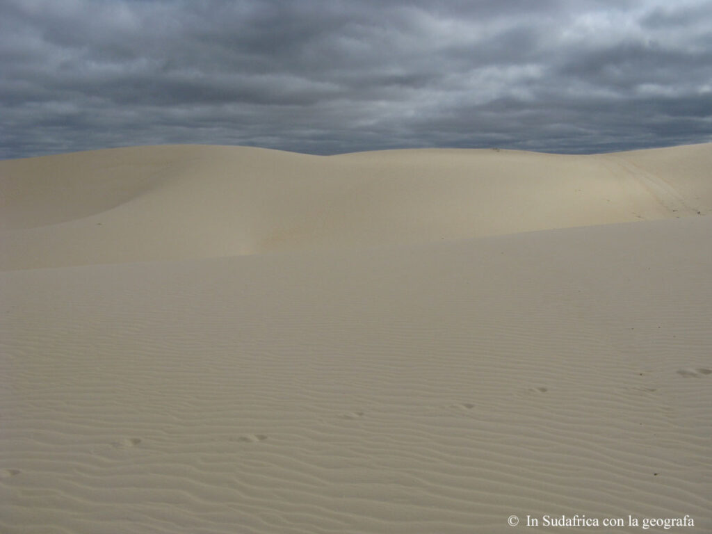 Sudafrica: West Coast NP Consulenza viaggio Sudafrica