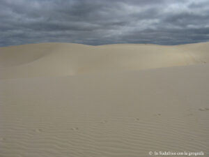 Sudafrica: West Coast NP Consulenza viaggio Sudafrica