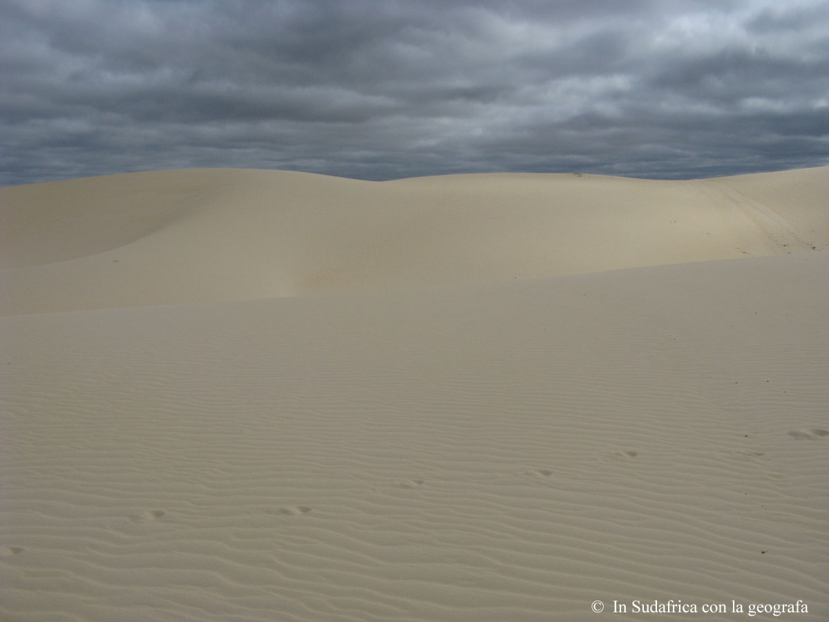 Sudafrica: West Coast NP Consulenza viaggio Sudafrica