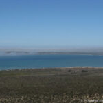 Sudafrica: West Coast NP Consulenza viaggio Sudafrica