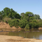 Sudafrica: Kruger NP Consulenza viaggio Sudafrica