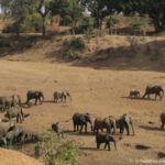 Sudafrica: Kruger NP Consulenza viaggio Sudafrica