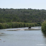 Sudafrica: Hluhluwe-iMfolozi Park Consulenza viaggio Sudafrica