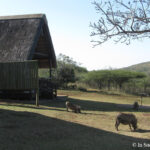 Sudafrica: Hluhluwe-iMfolozi Park - Mpila Camp Consulenza viaggio Sudafrica
