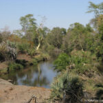 Sudafrica: Kruger NP Consulenza viaggio Sudafrica