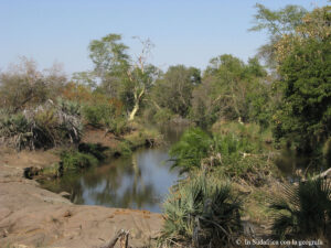 Sudafrica: Kruger NP Consulenza viaggio Sudafrica