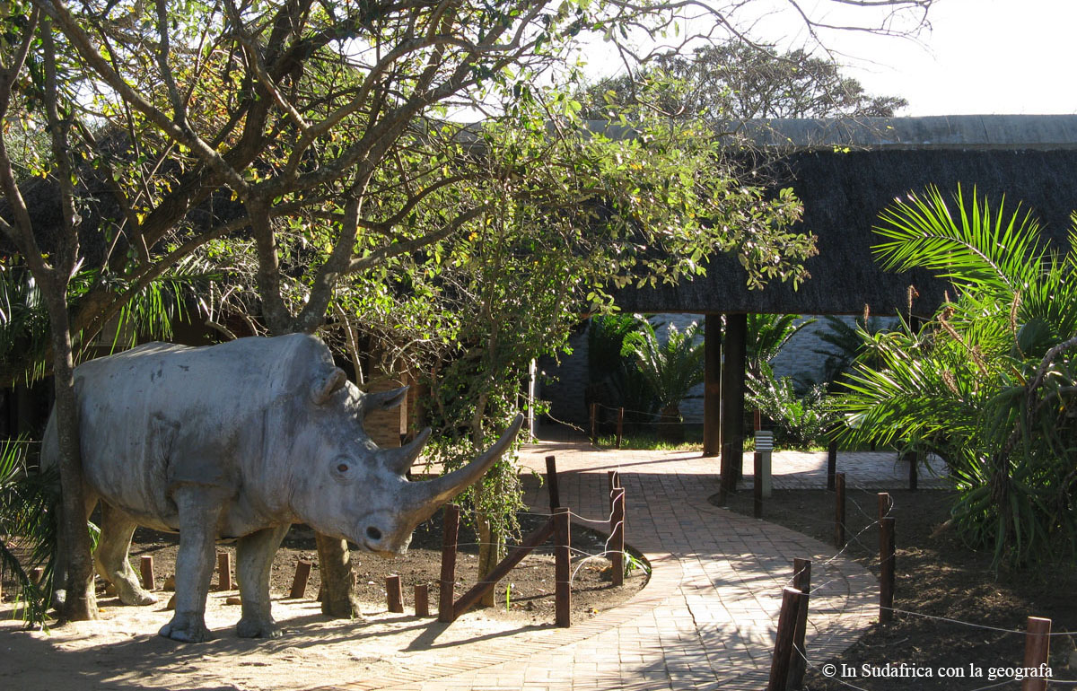 Sudafrica: Hluhluwe-iMfolozi Park - Hilltop Camp Consulenza viaggio Sudafrica