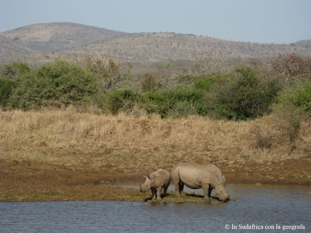 Sudafrica: Manyoni Private Game Reserve Consulenza viaggio Sudafrica