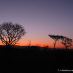 Sudafrica: Manyoni Private Game Reserve Consulenza viaggio Sudafrica