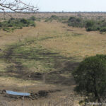 Sudafrica: Kruger NP Consulenza viaggio Sudafrica