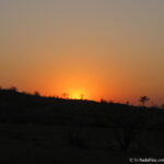 Sudafrica: Kruger NP Consulenza viaggio Sudafrica