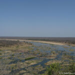 Sudafrica: Kruger NP Consulenza viaggio Sudafrica