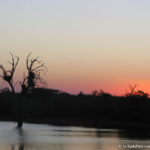 Sudafrica: Kruger NP Consulenza viaggio Sudafrica