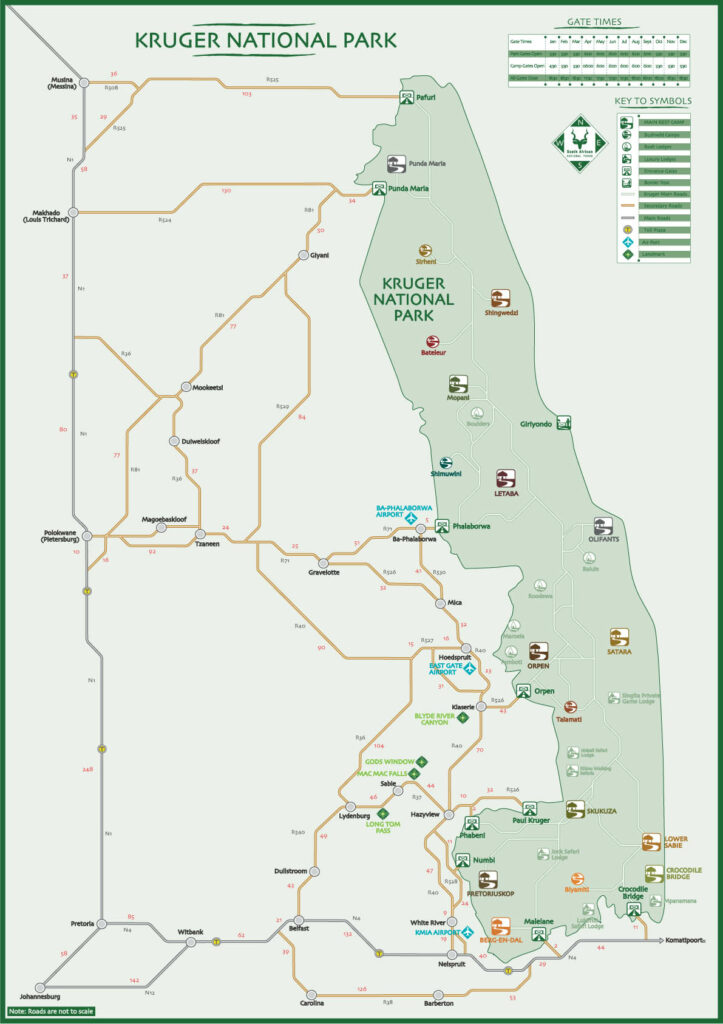 Sudafrica: Kruger NP Consulenza viaggio Sudafrica